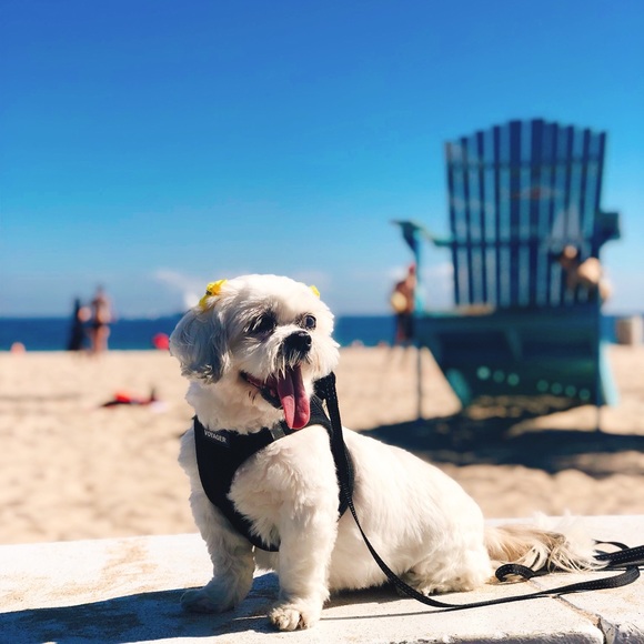 vne - Picture 8 of 8